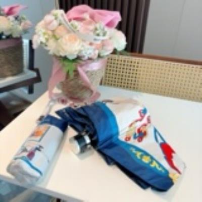 wholesale quality hermes umbrella model no. 5